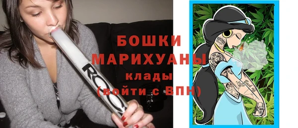 шишки Белоозёрский